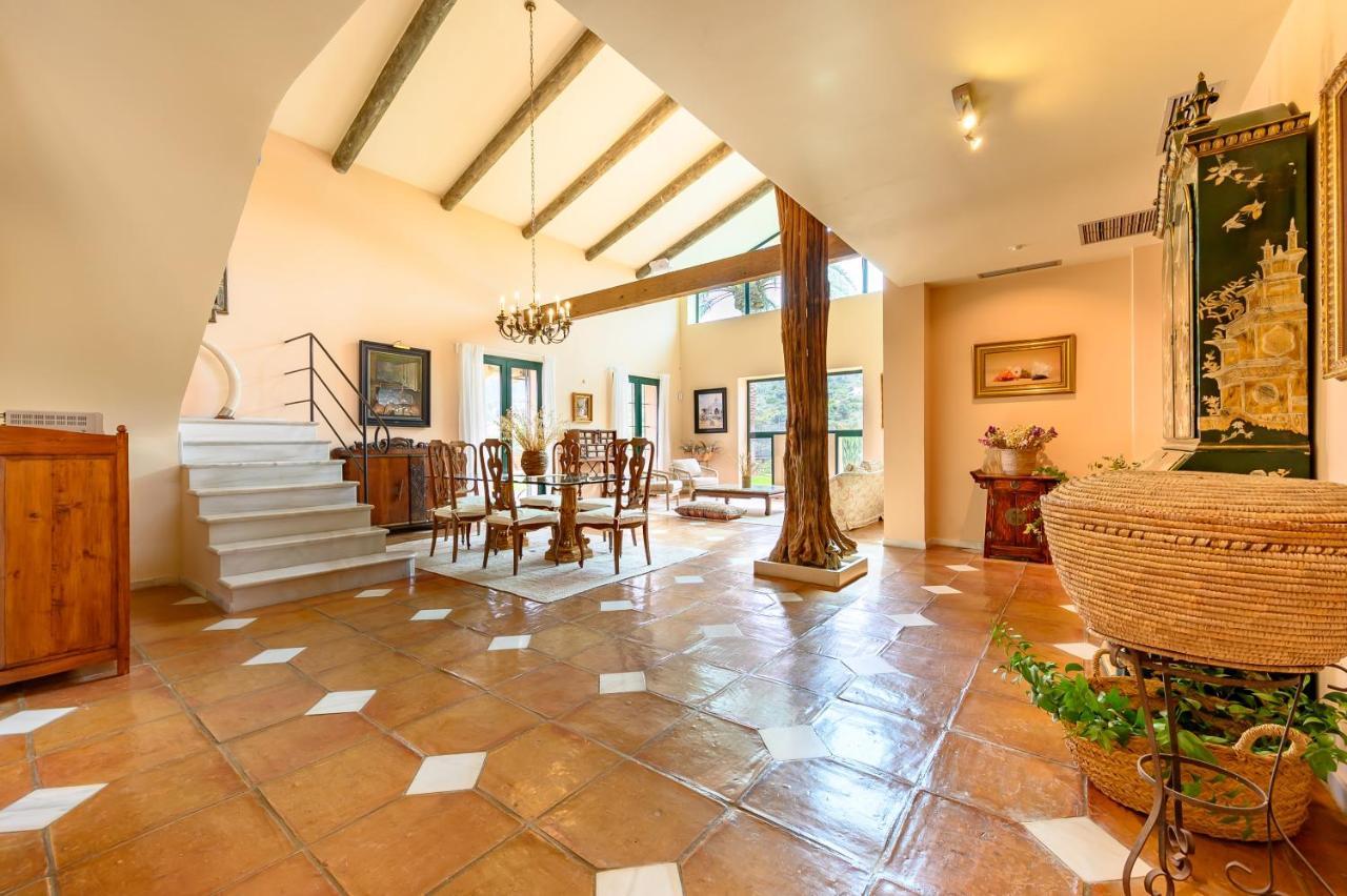 Villa Saguaro Malaga Альхаурин-де-ла-Торре Экстерьер фото