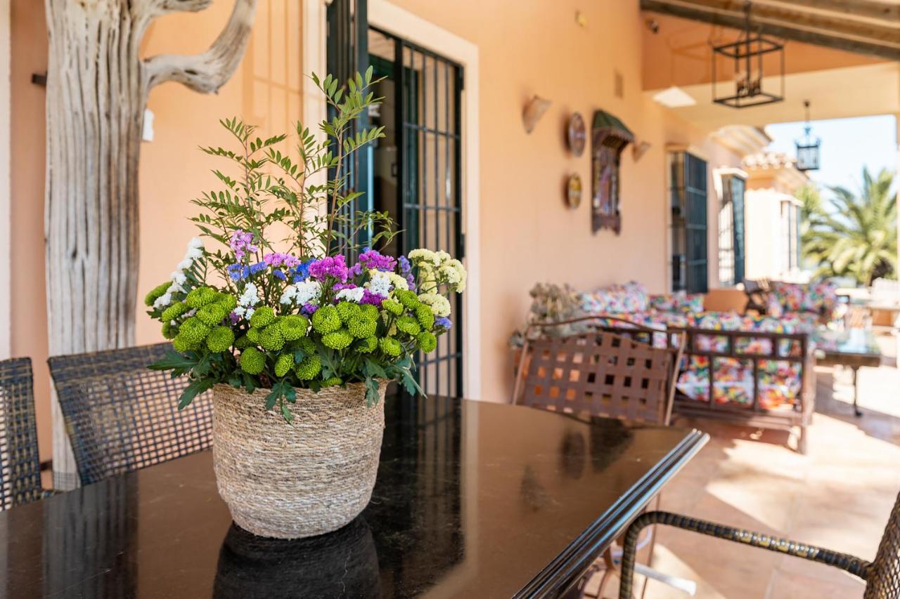 Villa Saguaro Malaga Альхаурин-де-ла-Торре Экстерьер фото